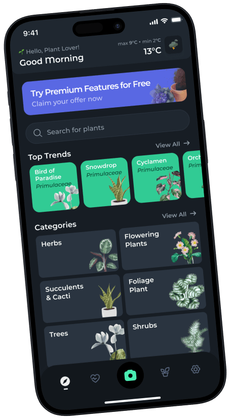 PlantCare app interface on iPhone showing plant identification features